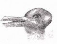 /album/fotogaleria/duckrabbit1-jpg1/